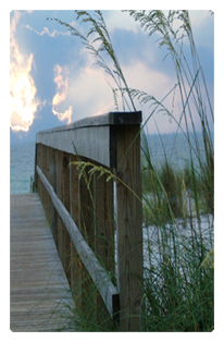 Crossing Over (Boardwalk)